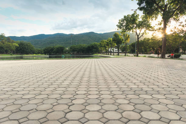 Best Interlocking Driveway Pavers  in Worland, WY