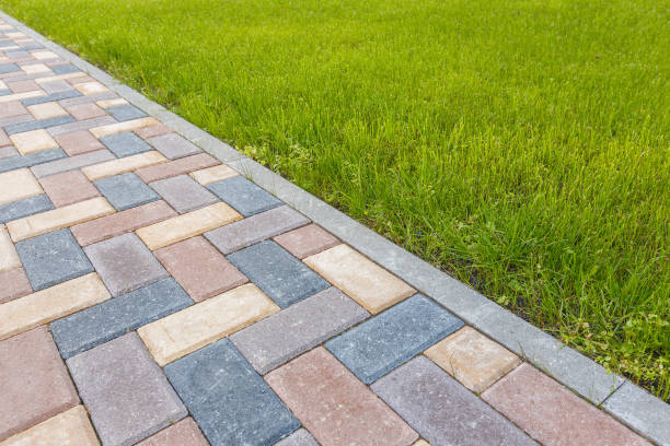 Best Driveway Pavers Contractor  in Worland, WY